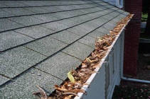 Handyman-Service-Gutter-Cleaning-